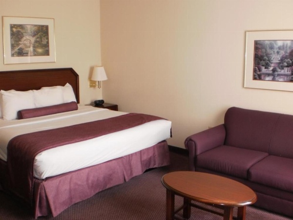 Ashmore Inn and Suites Amarillo image 11