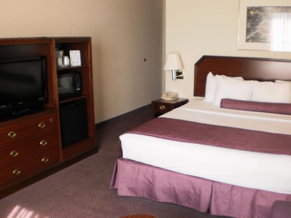 Ashmore Inn and Suites Amarillo image 22