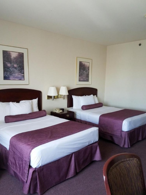 Ashmore Inn and Suites Amarillo image 26