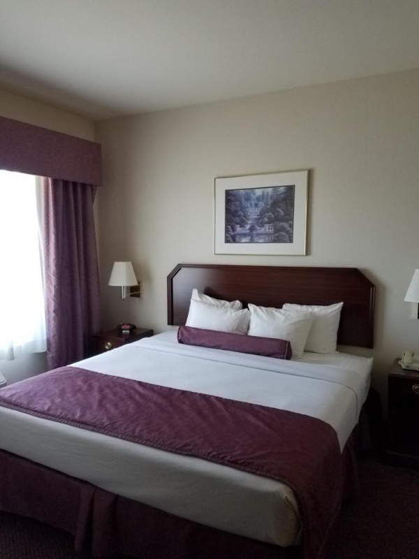 Ashmore Inn and Suites Amarillo image 38