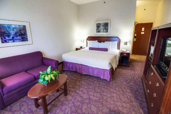 Ashmore Inn and Suites Amarillo image 8